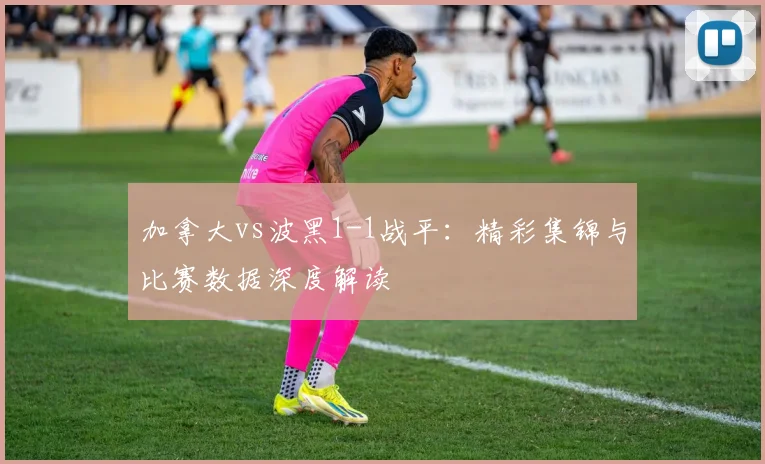 加拿大vs波黑1-1战平：精彩集锦与比赛数据深度解读