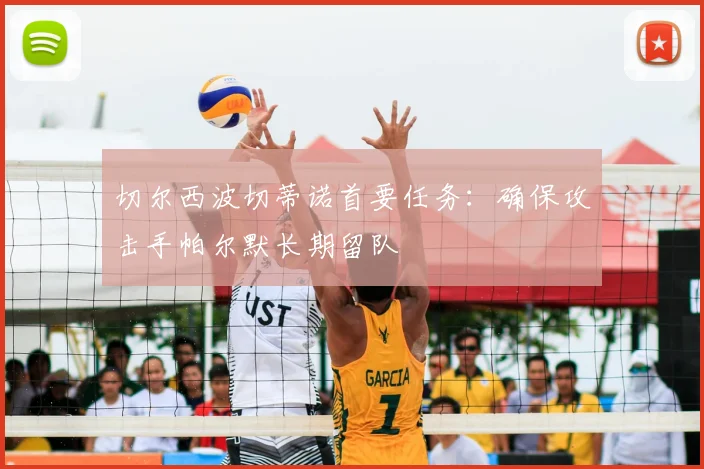 切尔西波切蒂诺首要任务:确保攻击手帕尔默长期留队