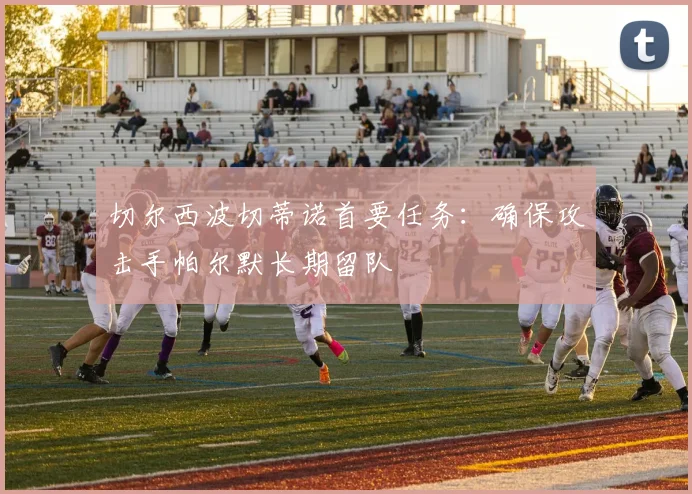切尔西波切蒂诺首要任务：确保攻击手帕尔默长期留队